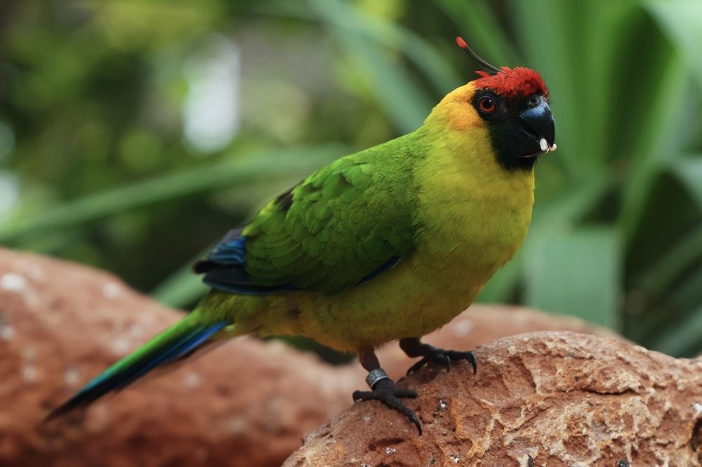 Photograph by Maxim Lipchenko