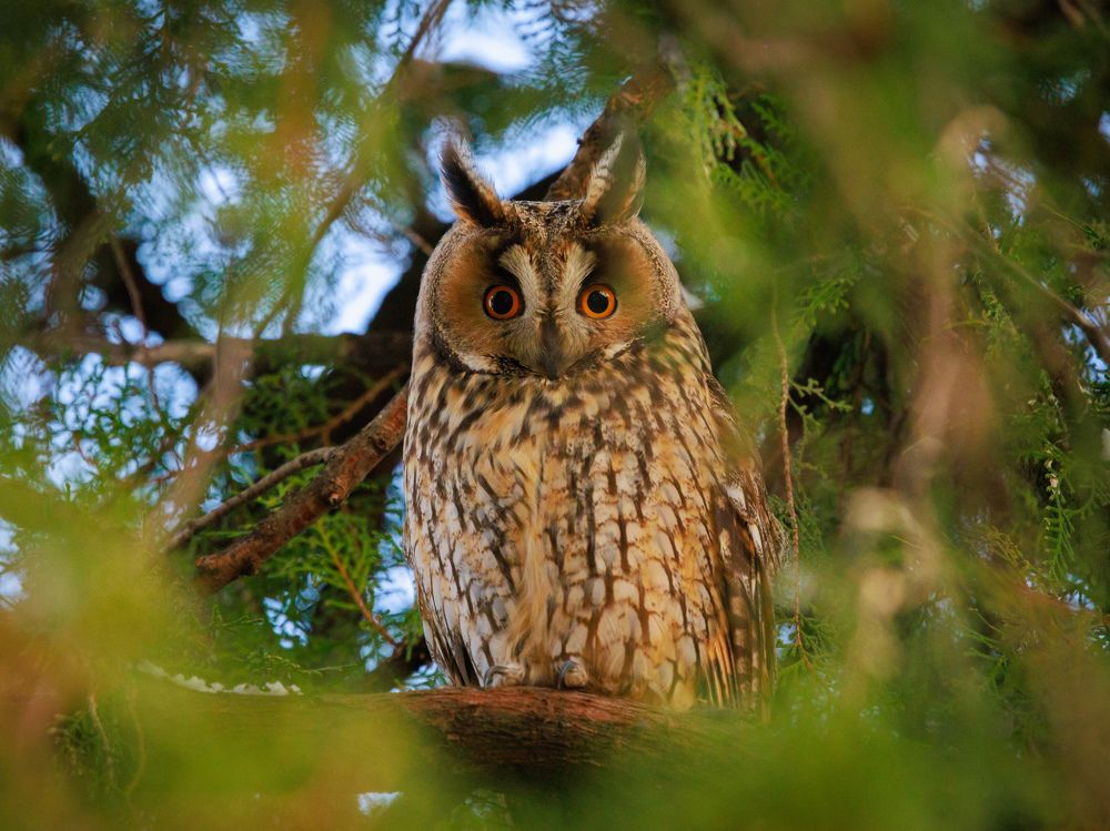 Photograph by Maxim Lipchenko