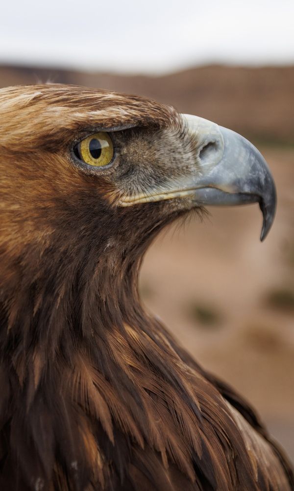 Photograph by Юлия Мальнева