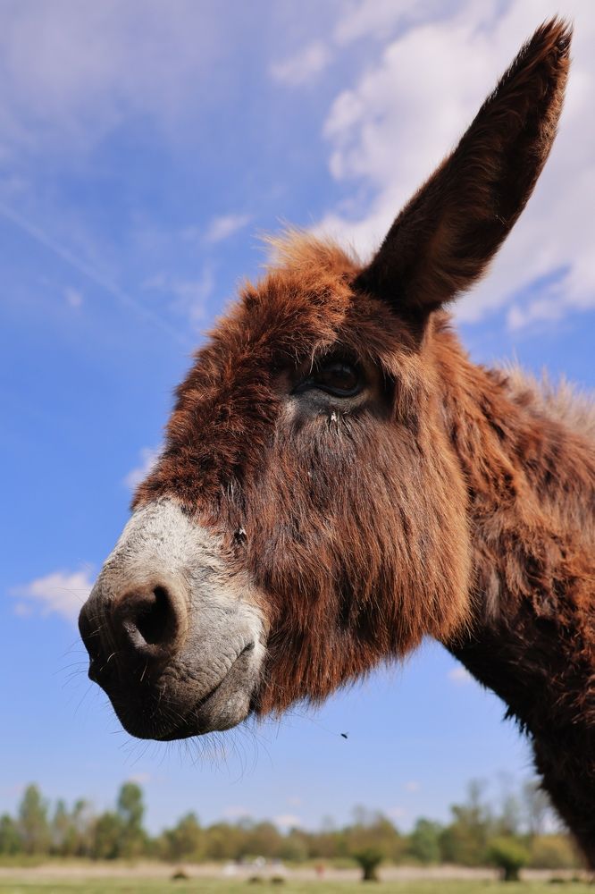 Photograph by Maxim Lipchenko