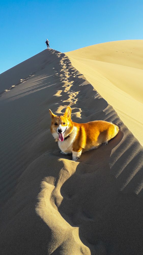 Photograph by Светлана Краюшкина