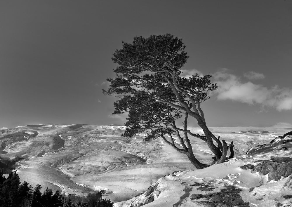 Photograph by  Владимир