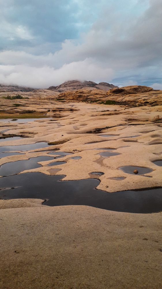 Photograph by Светлана Краюшкина