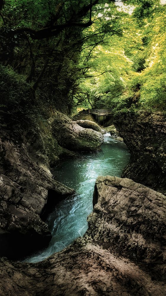 Фотография автора Владимир Кузнецов