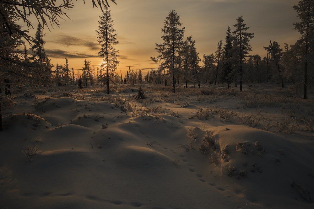 "Зимняя карамель"