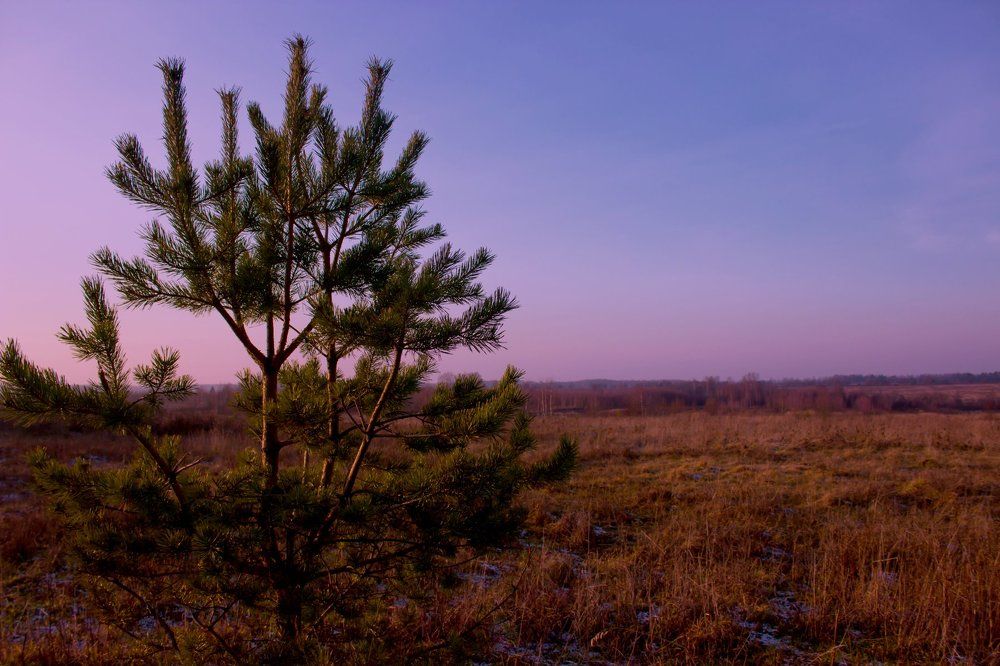 в ожидании зимы..