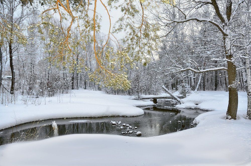 Фотография автора Вячеслав Белокур