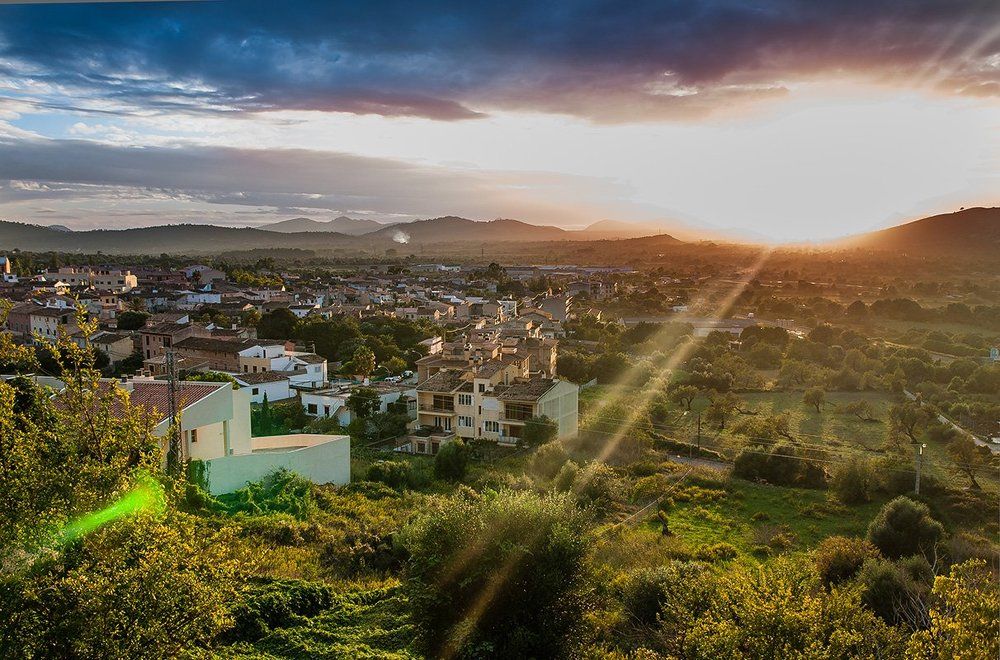 Успел на зак