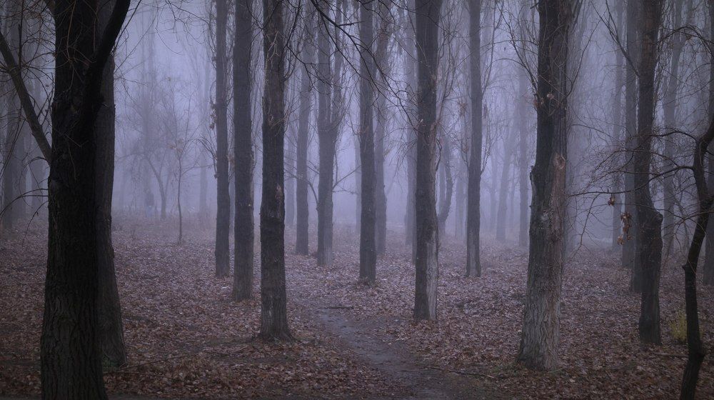 Photograph by Орлова Валерия