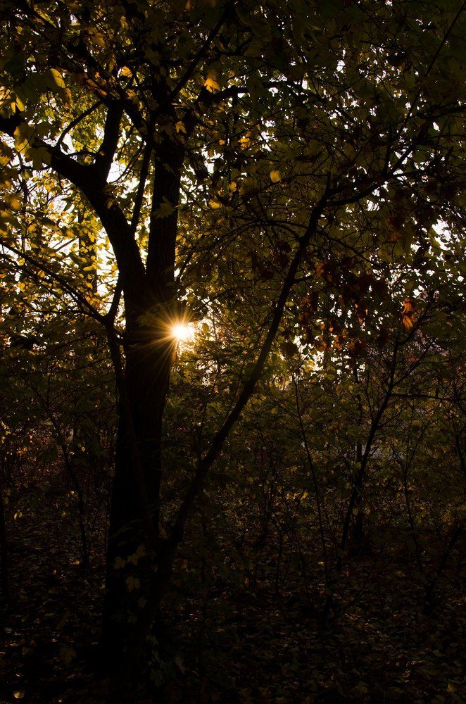 Последние лучи