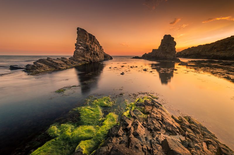 Jeni Madjarova, Bulgaria