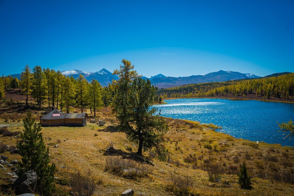 Белые шапки