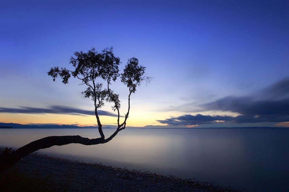 Тянемся к закату