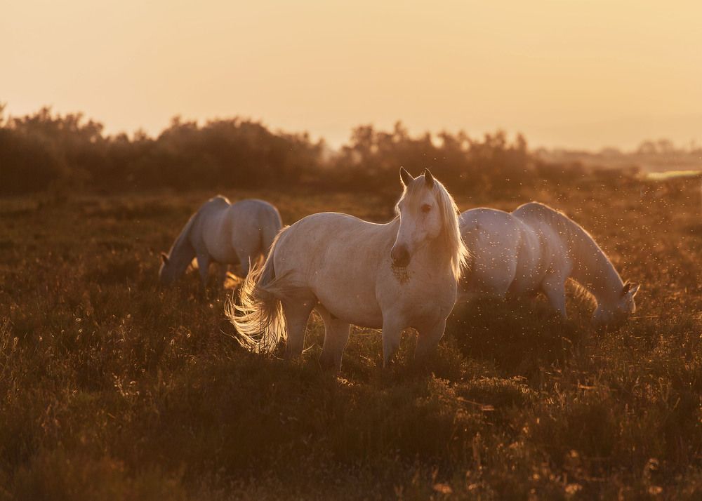 Photograph by Jevgenija Sepeliova