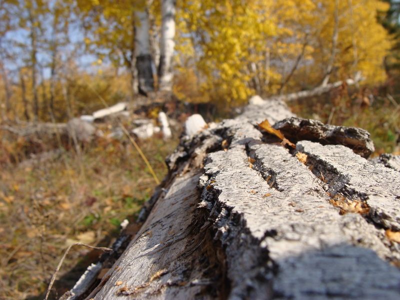 Анастасия, Russia