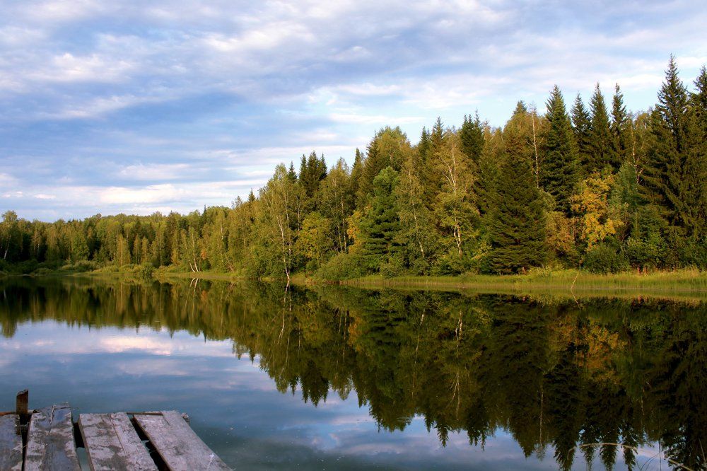 Люблю свои леса и воды