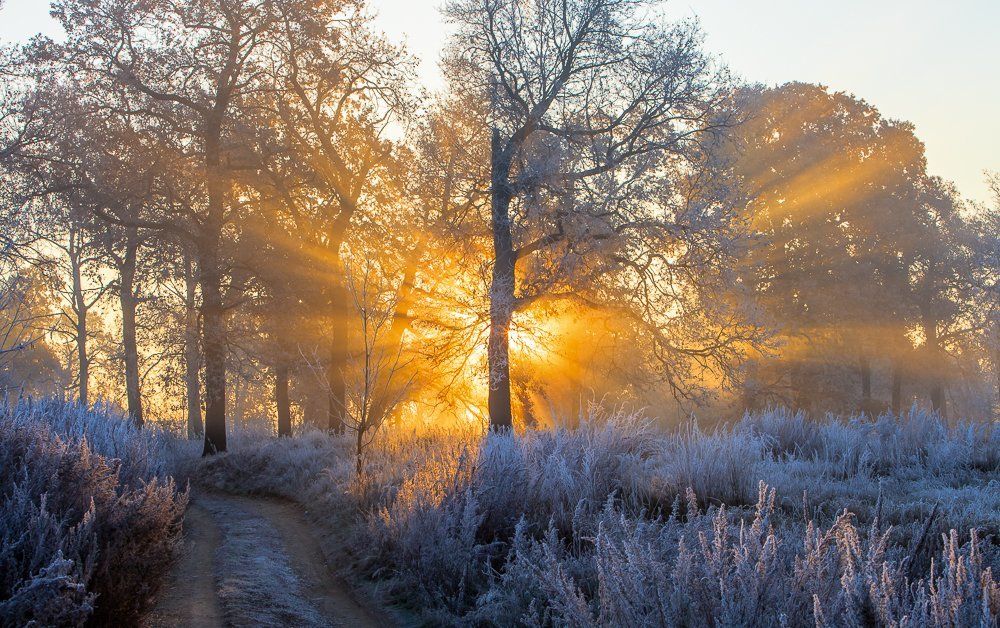 Первые заморозки