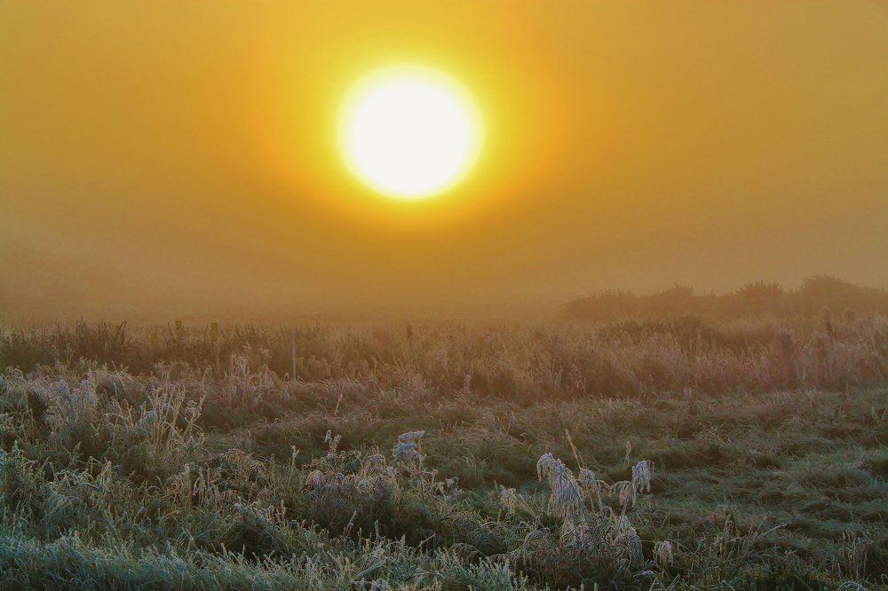 Утро туманное