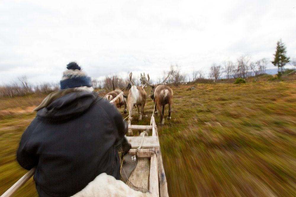 Движение по тундре