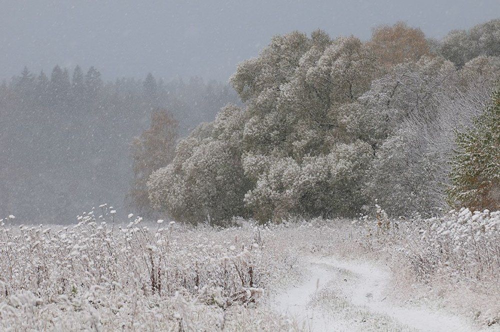 Первый снегопад
