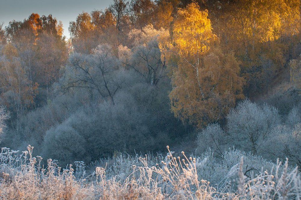 Октябрьские контрасты