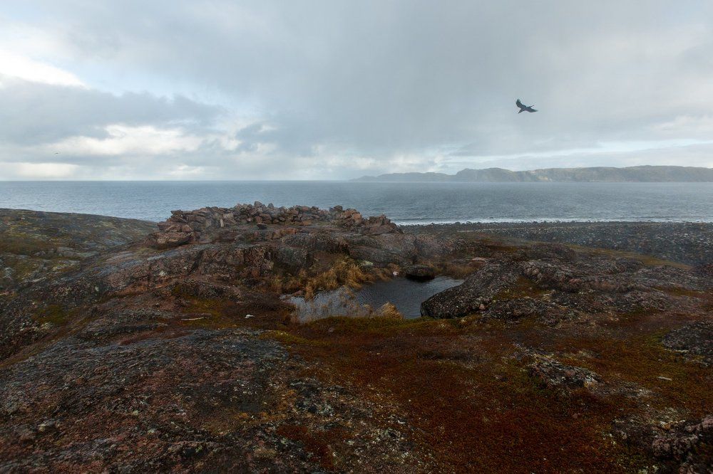 Гордо реет буревестник