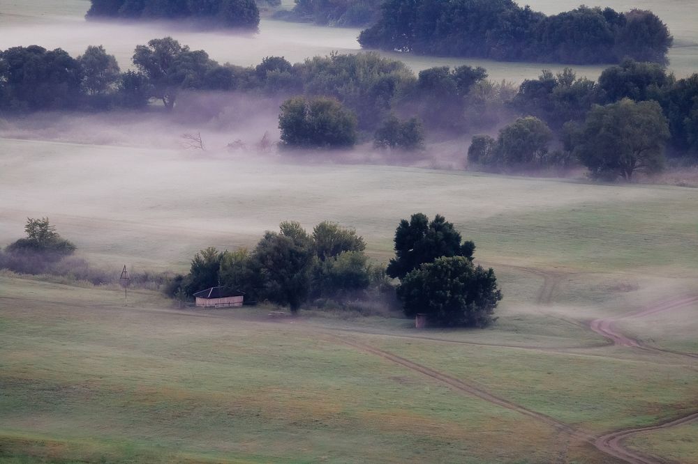 Тишина туманного утра