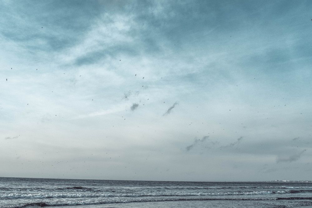 Морская суета