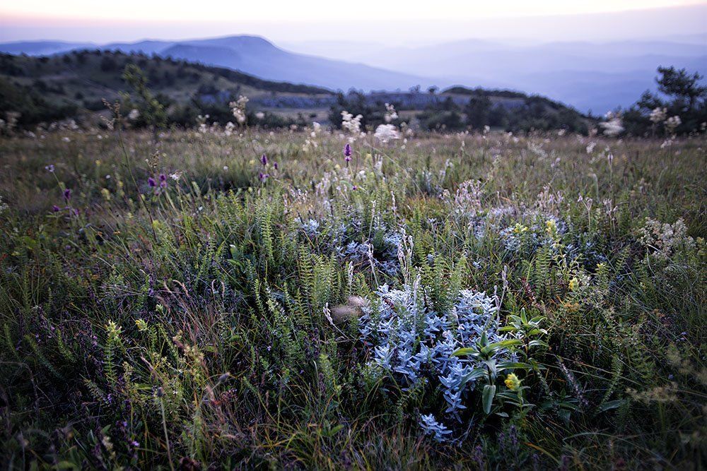 Ялтинская Яла