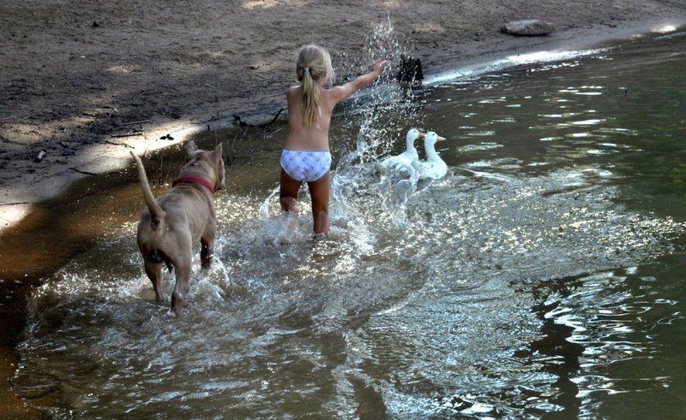 Борьба за территорию