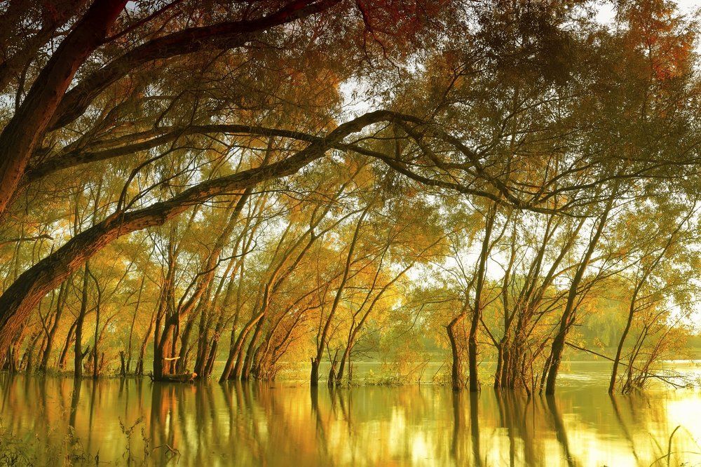 Река Кубань вечером