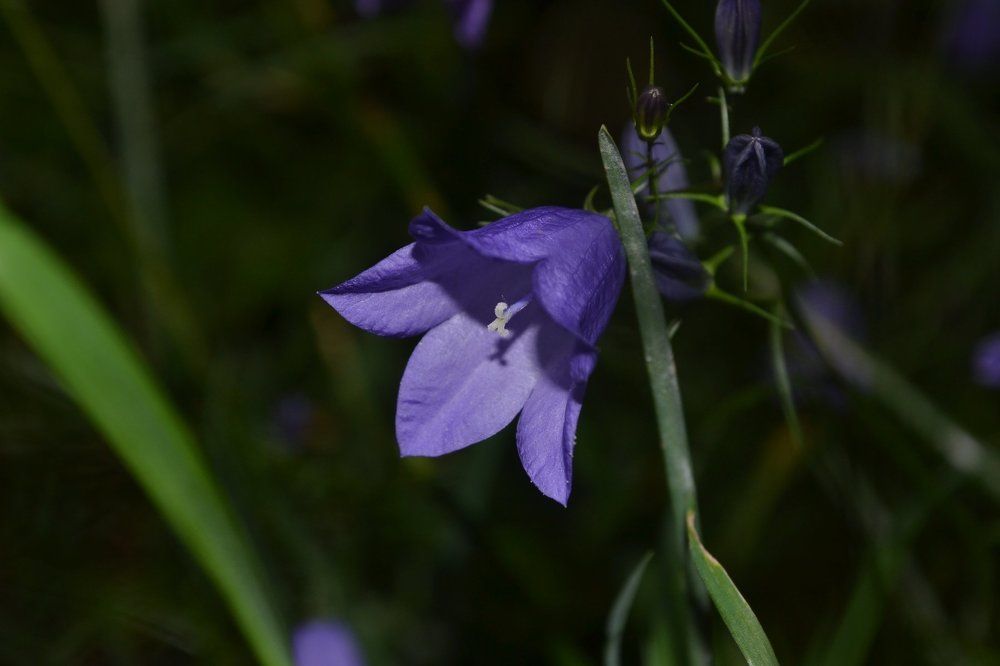 Одиночество