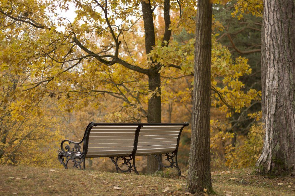 Photograph by Sander