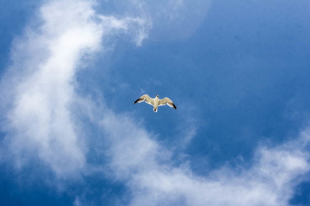 Запах моря