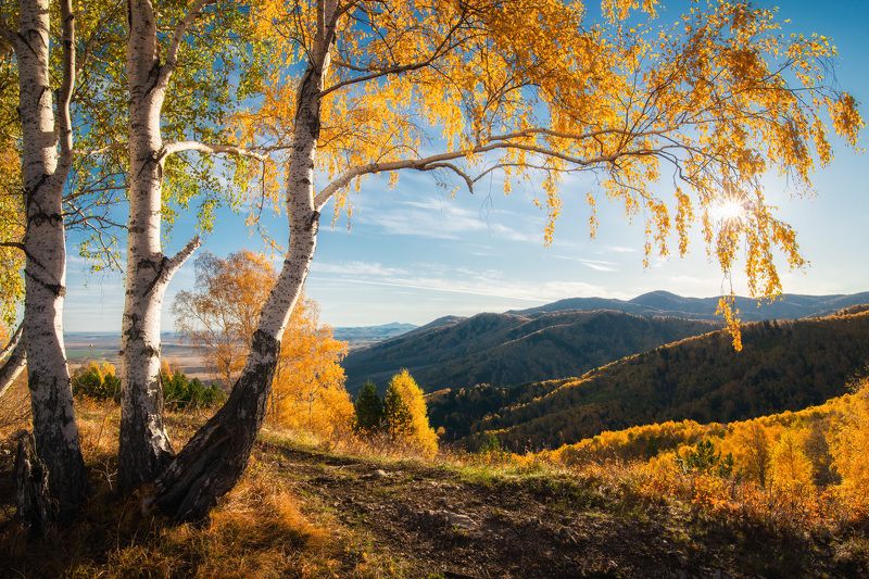 Pavel Silinenko, Russia