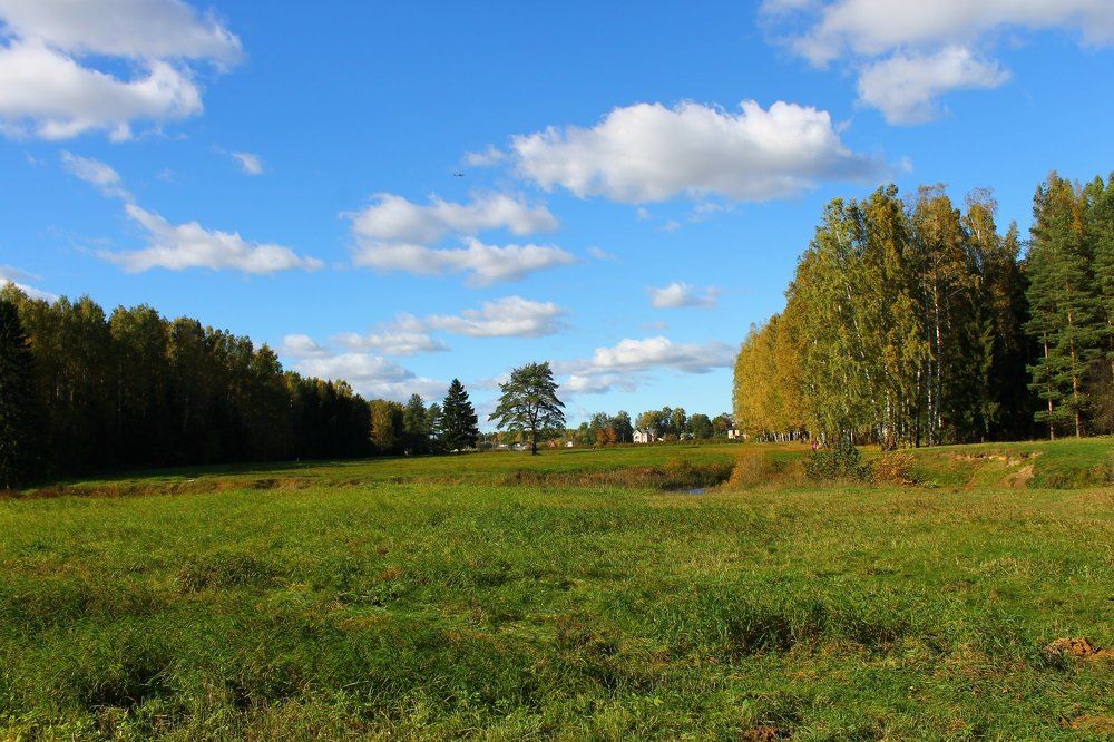 Photograph by Анастасия Толстыкина