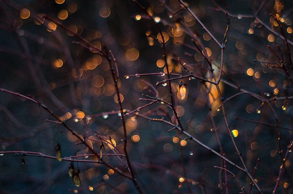 золото весны