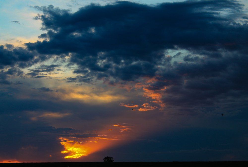 Photograph by Николай