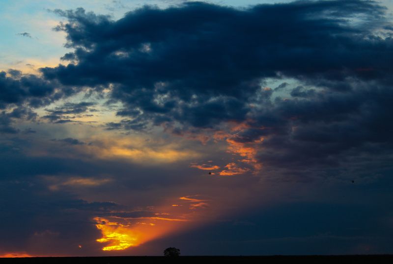 nikolay aleksandrov, Russia