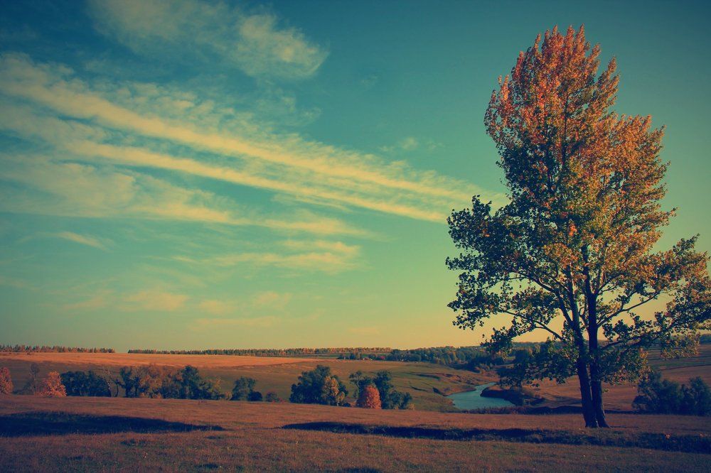 Photograph by Николай