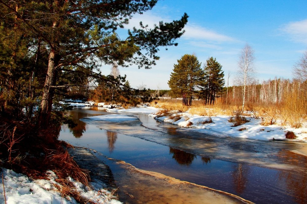 весенний Рефт