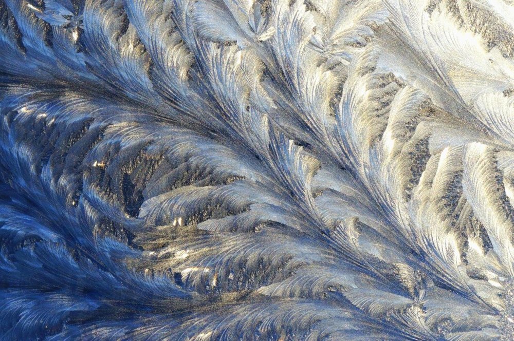 Мороз виртуоз