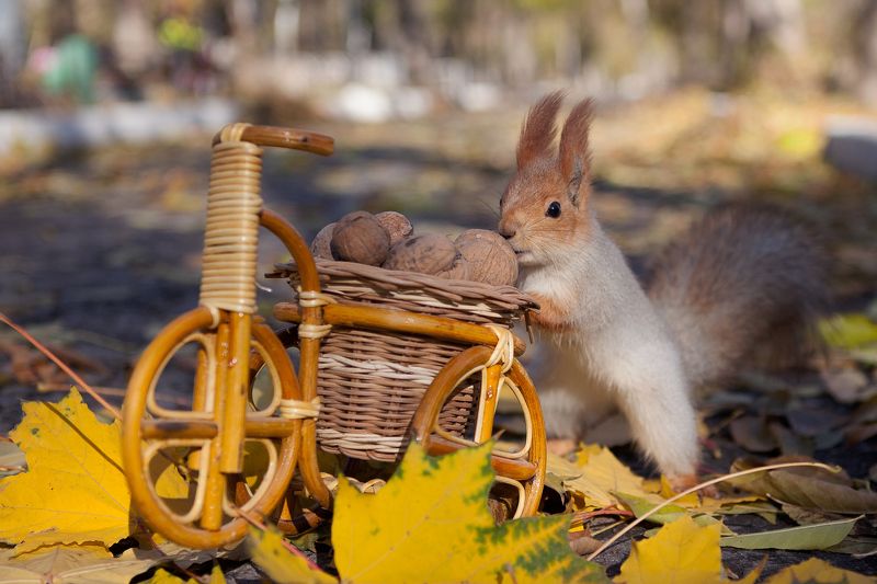 Yura Korotun, Russia