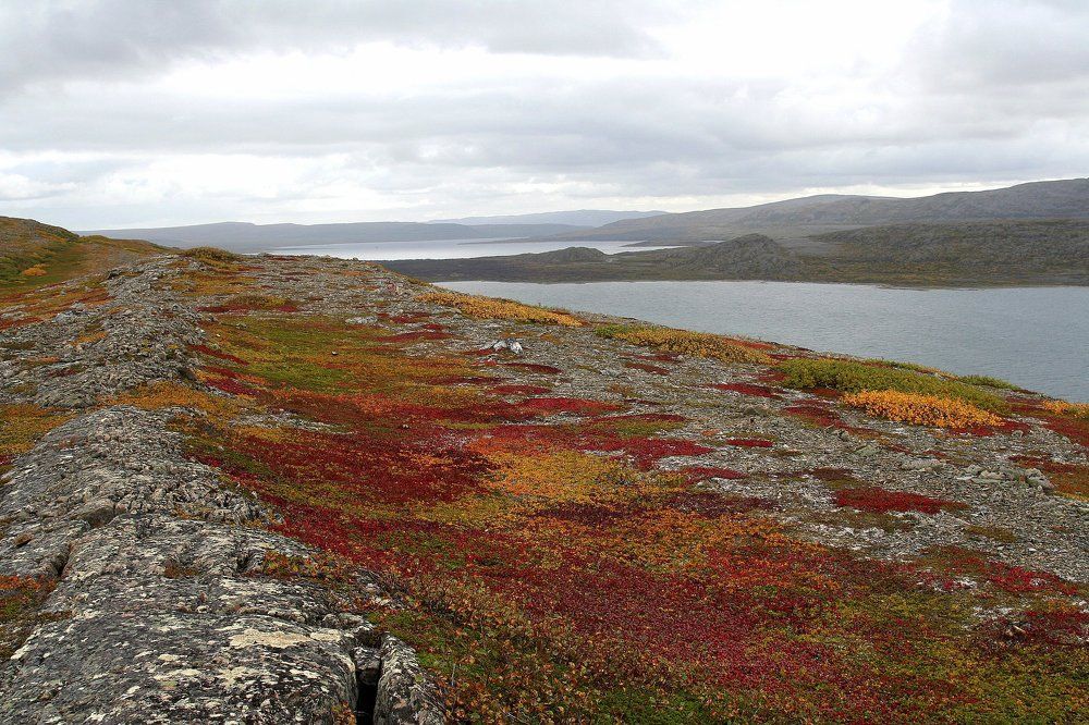 Полуостров Рыбачий и его лабиринты.