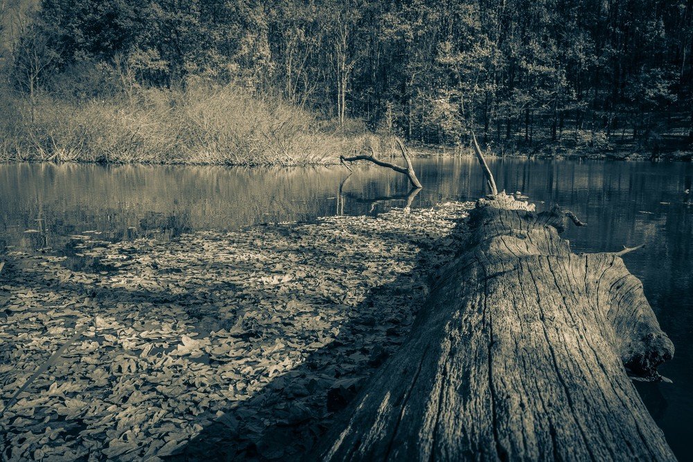 Осенний мрак