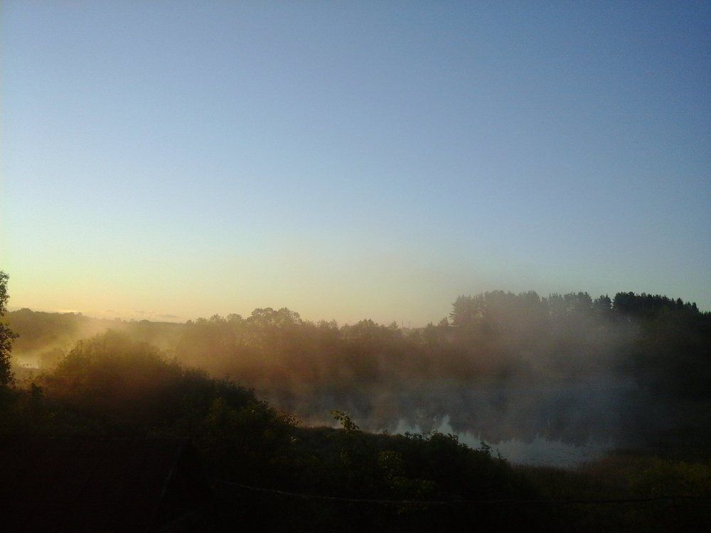 morning