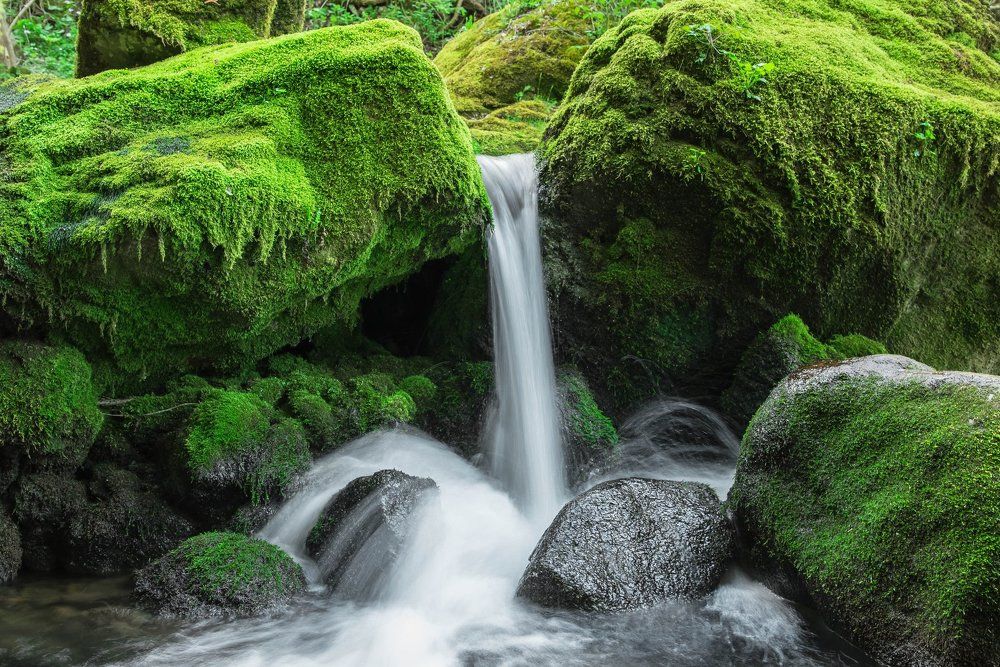 Photograph by Мирослав Вутов