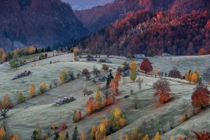 Mihail Dulu, Romania