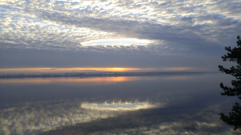 Самохина Инна Николаевна, Russia