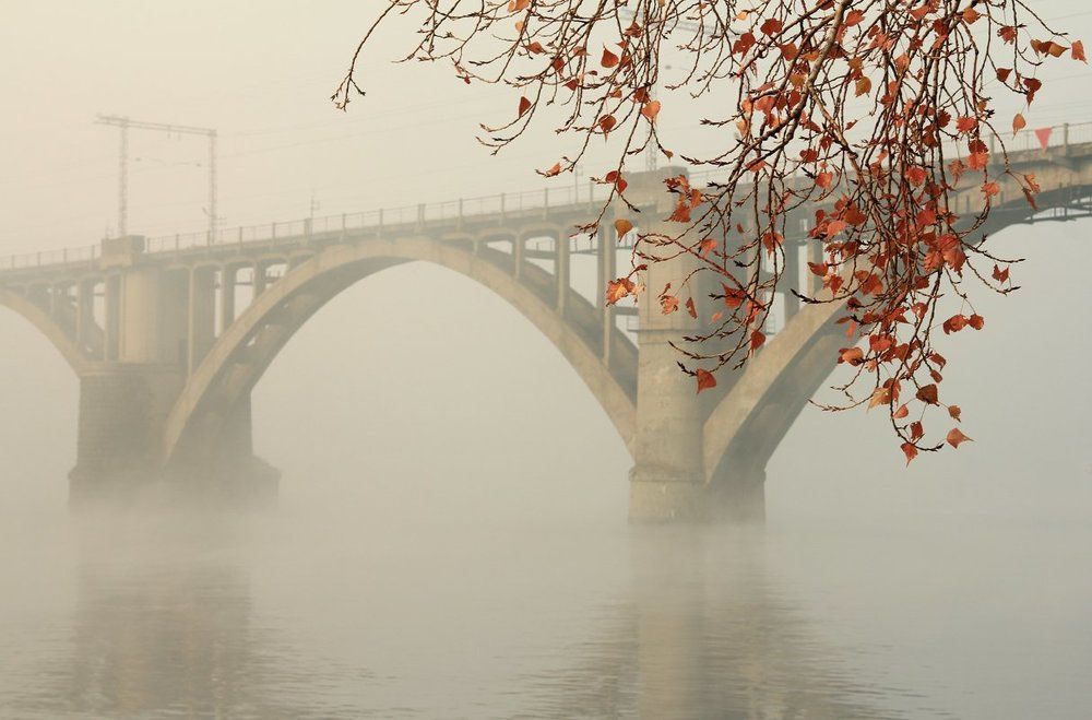 Утро туманное